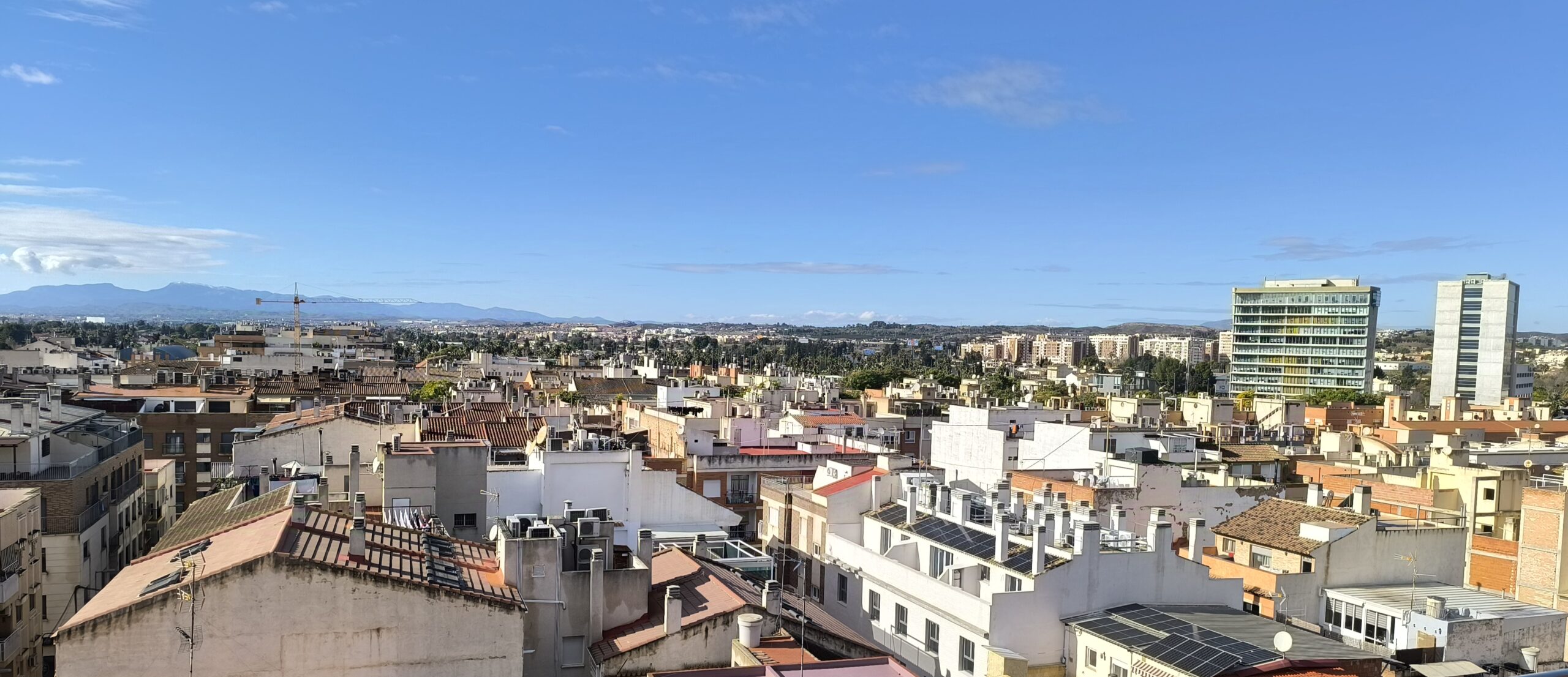 arrendamientos-opcion-compra-murcia-abogados